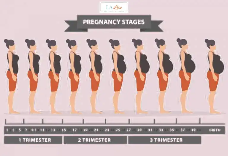 First Trimester (Weeks 1–12): Early Changes You Might Not Notice Clifton